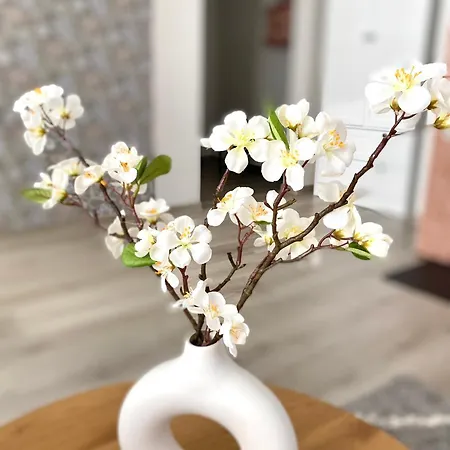 Hubane Kuelaliskorter Paernus Пярну