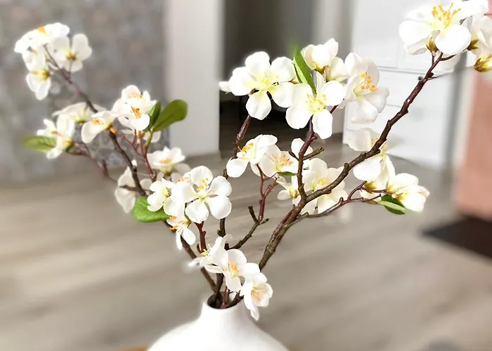 Hubane Kuelaliskorter Paernus Παρνού